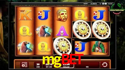 A Experiência Imersiva dos Cassinos Ao Vivo no mgbet